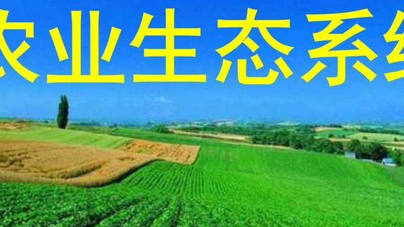 露天果园防病药剂：如何选择合适的批发产品