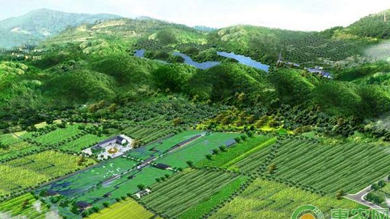 合作社土地流转征信报告：揭秘流转过程中的风险与保障**