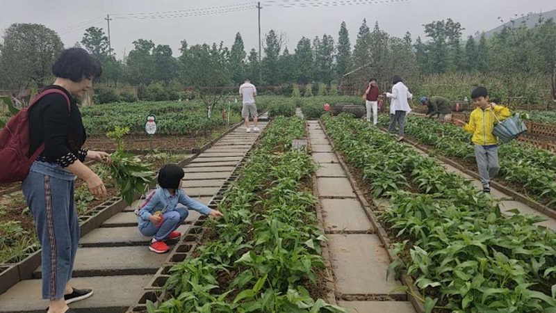 农资批发，如何规避风险，确保品质？**