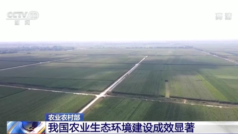 广州家庭农场采摘攻略：体验田园生活的绿色之旅