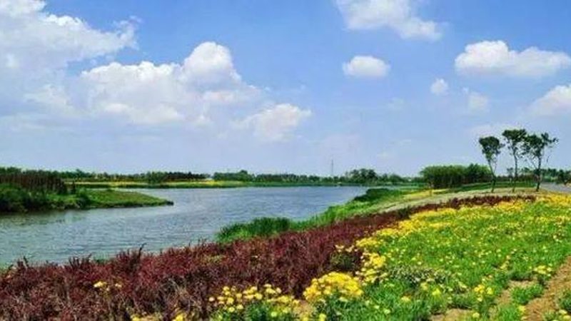 从播种到采收：不同农业种植方法的流程与效果对比