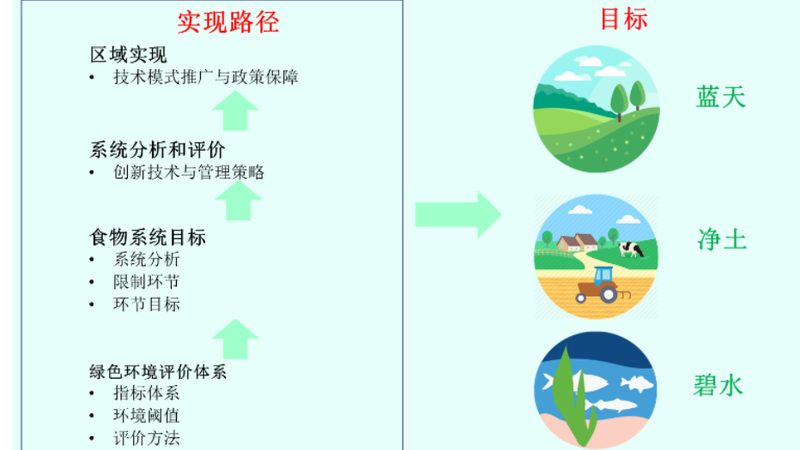 露天水果防病，从预防到控制的全流程要点