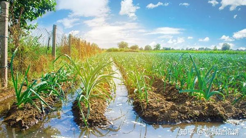 短视频获客的关键在于与客户建立良好的互动关系。以下是一些互动策略：