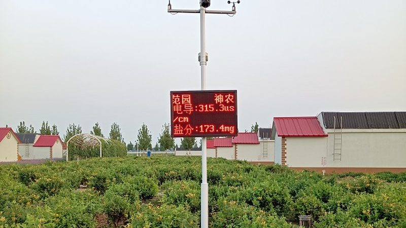在进行绿色食品认证之前，首先需要满足一些基本条件。这些条件包括但不限于：