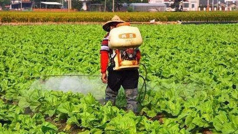 果蔬配送价格表模板