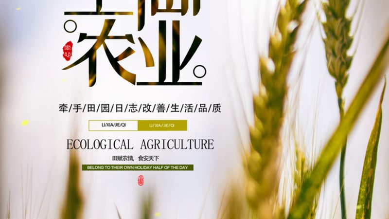 种养结合农场如何实现有机肥料批发定制**